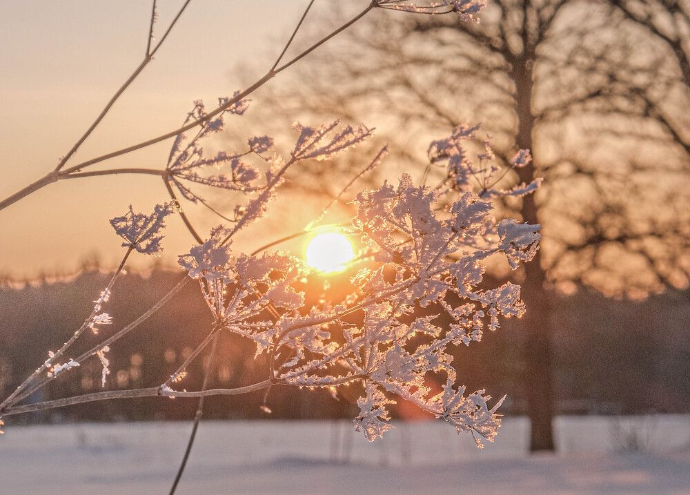 Photograph by Альберт Габбасов