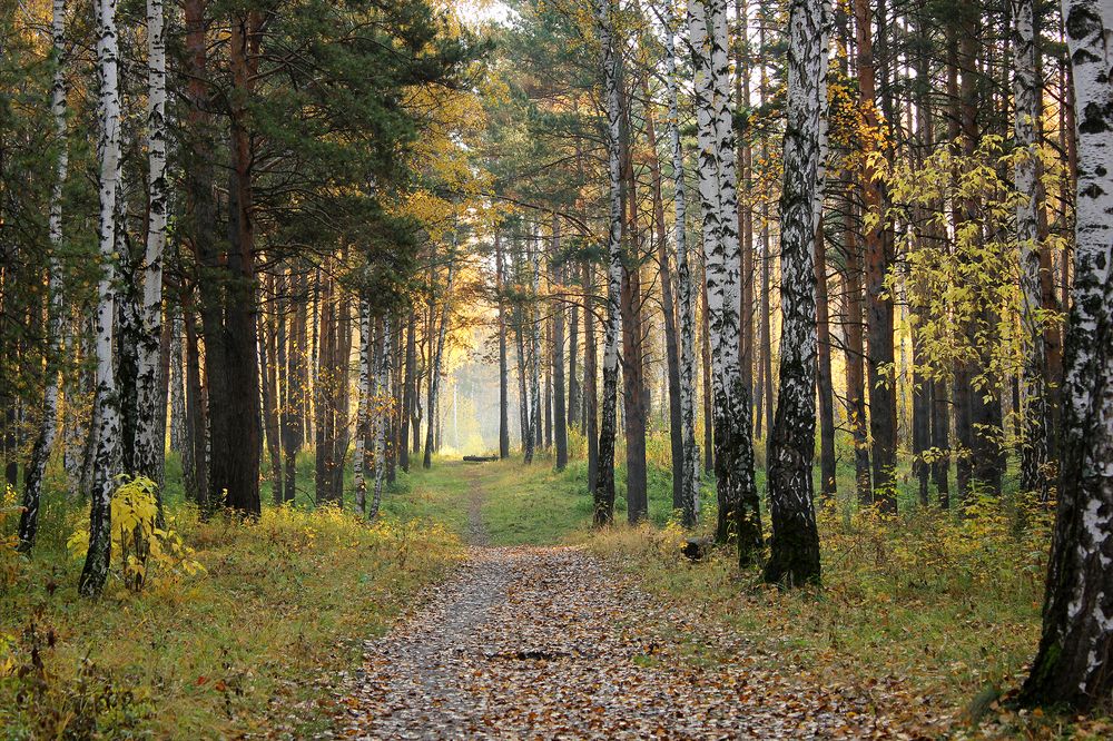 Фотография автора Кухта Мария