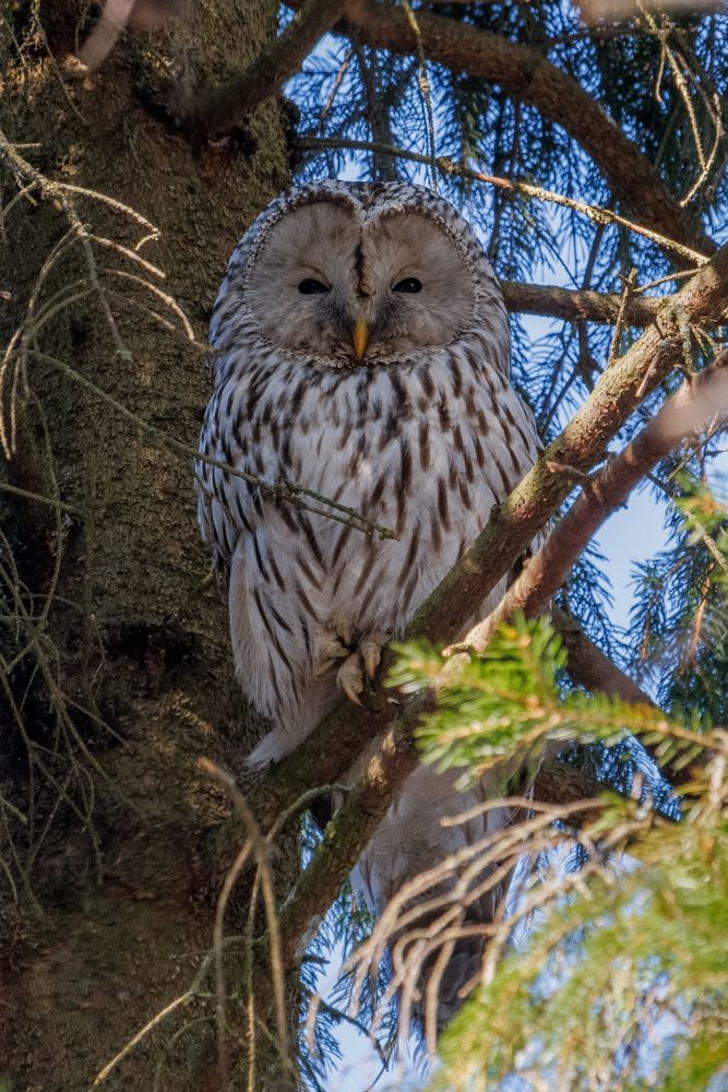 Photograph by Вячеслав Орос