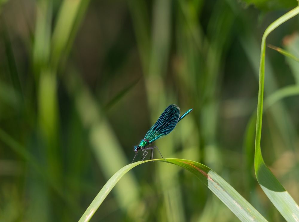 Photograph by Nastya Perekhodkina