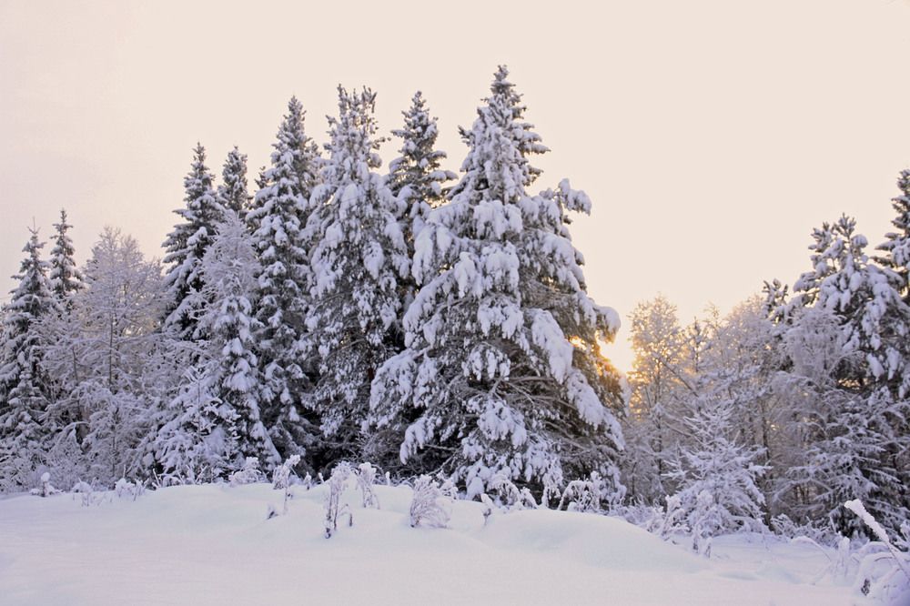 Photograph by Елена Маракулина