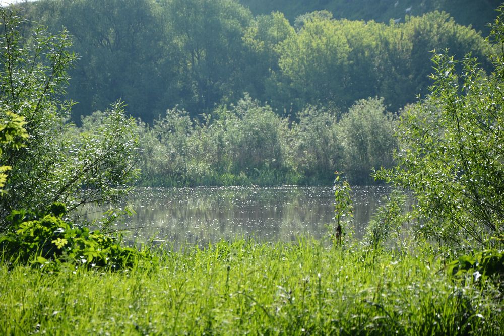 Photograph by Svetlana Nemontova