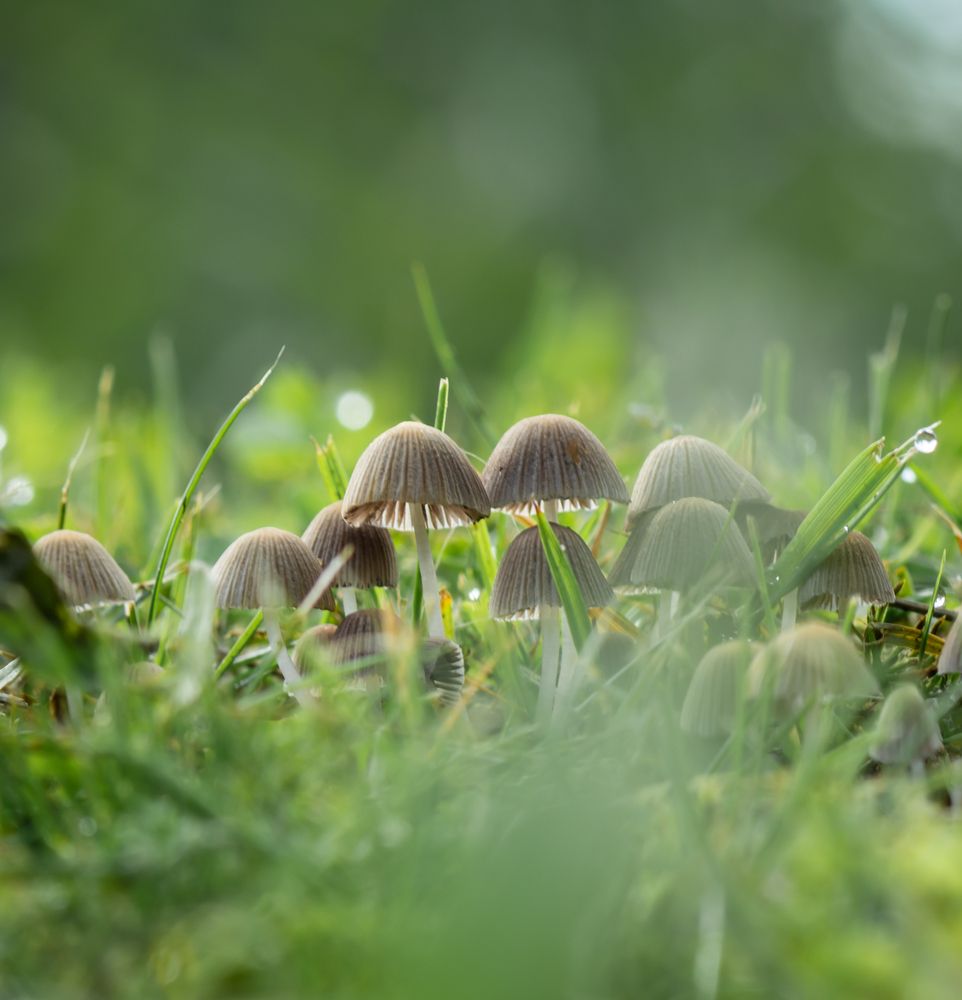 Photograph by Agita Leimane