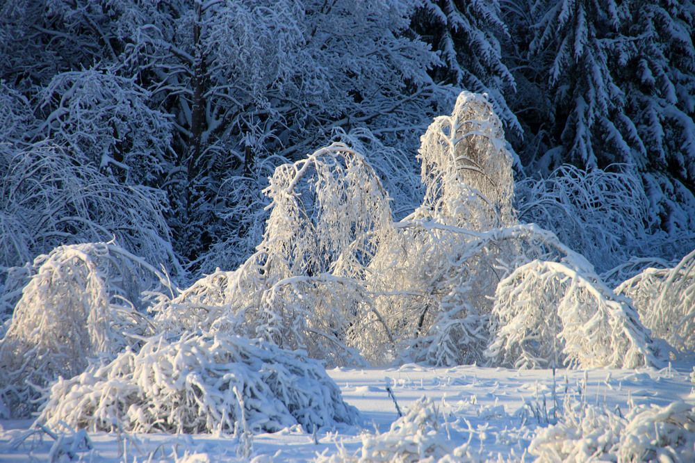 Photograph by Елена Маракулина
