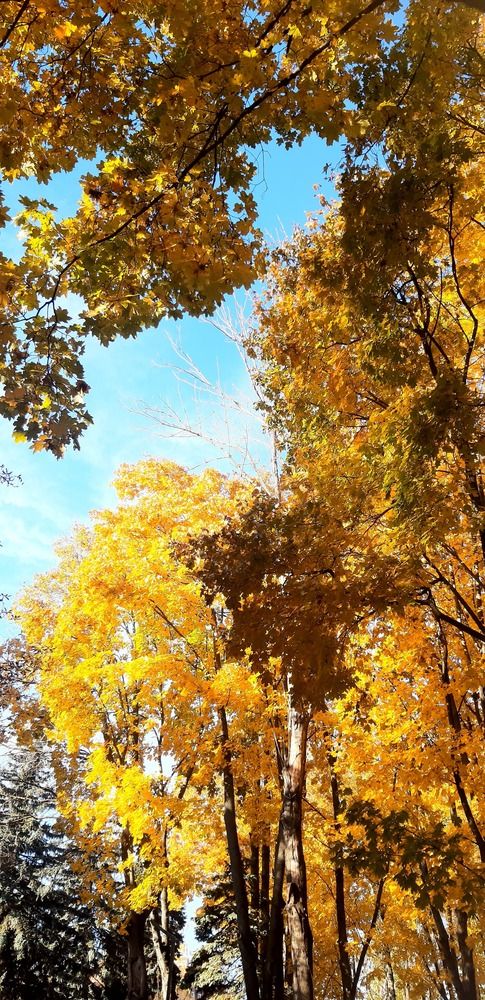 Photograph by Svetlana Nemontova