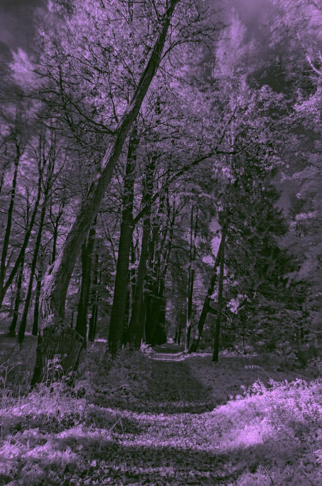 Photograph by Anton Hantov