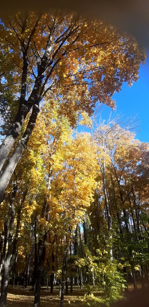 Photograph by Svetlana Nemontova