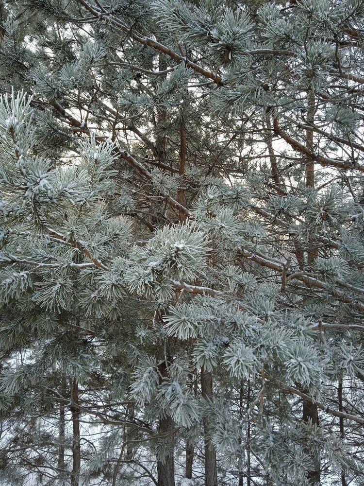 Photograph by Удовченко Елена