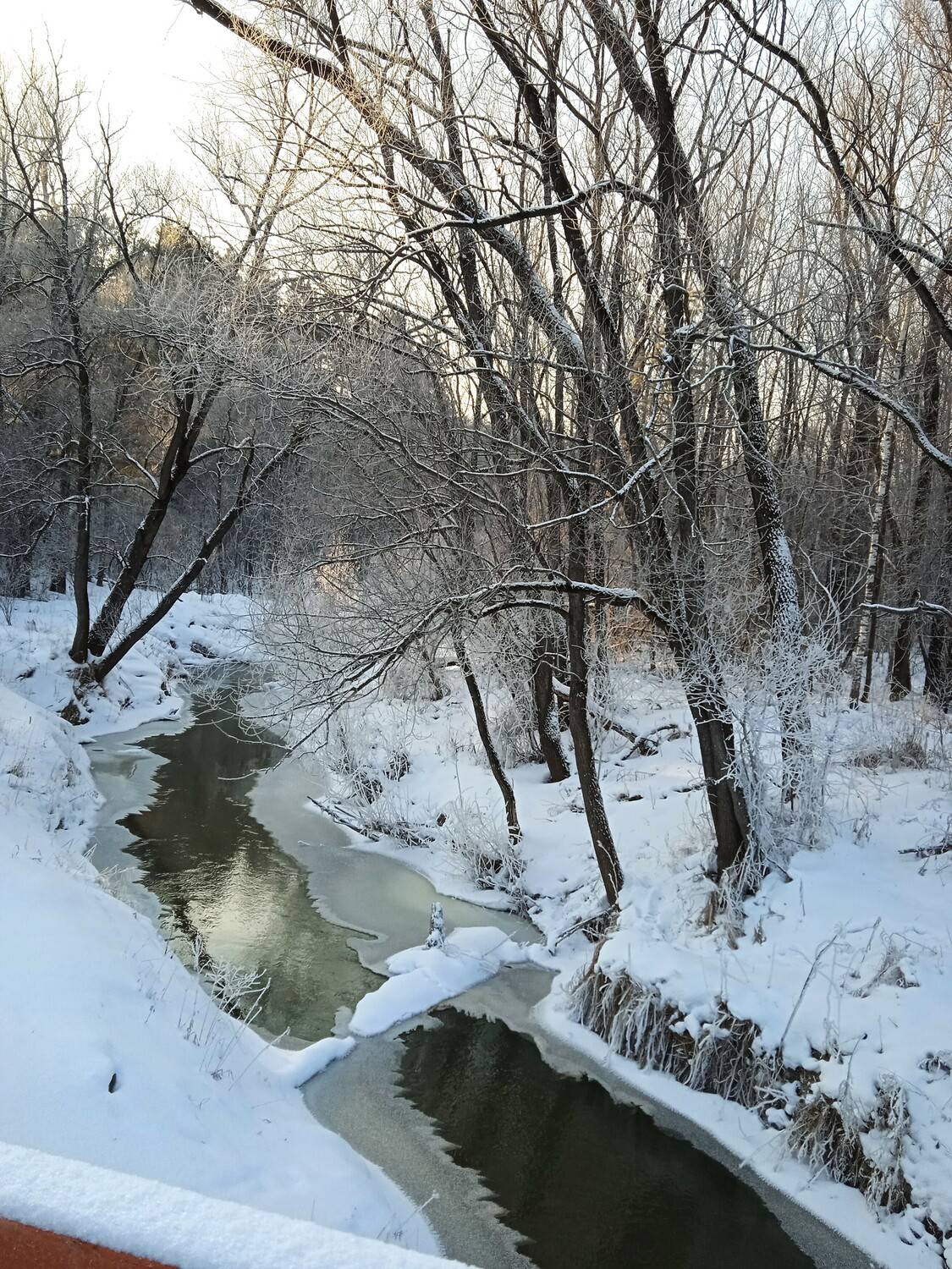 Photo #11826218