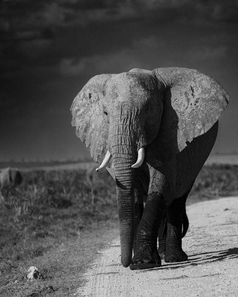 Photograph by Pothanis Sudhir