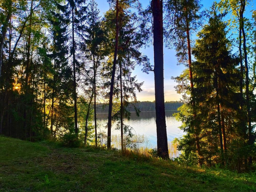 Photograph by Екатерина Борисовна Кузьмина