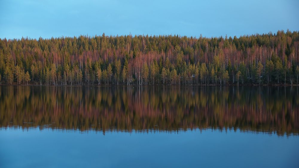 Photograph by Игорь Тамми