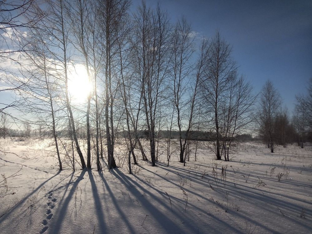 Photograph by Александр Чернов