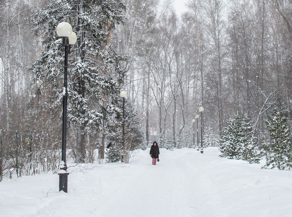 Photograph by Frolova Tatyana