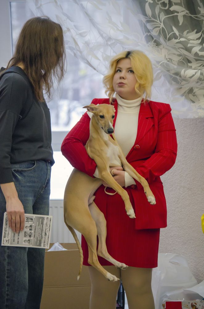 Photograph by Любовь Бусова