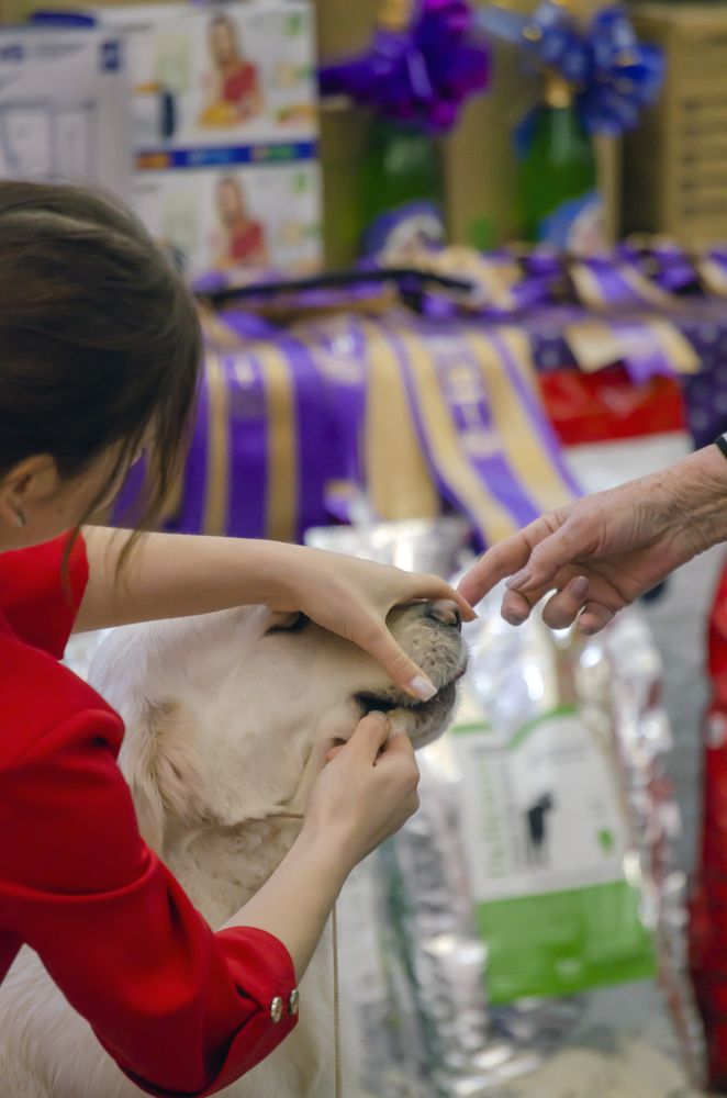 Photograph by Любовь Бусова