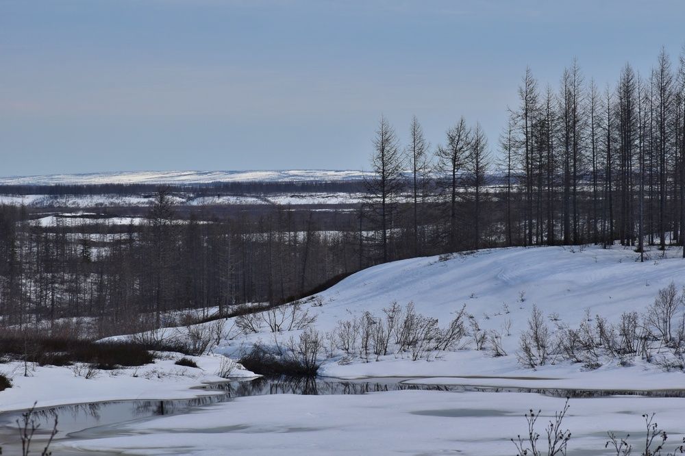 Photograph by Нина Кольман