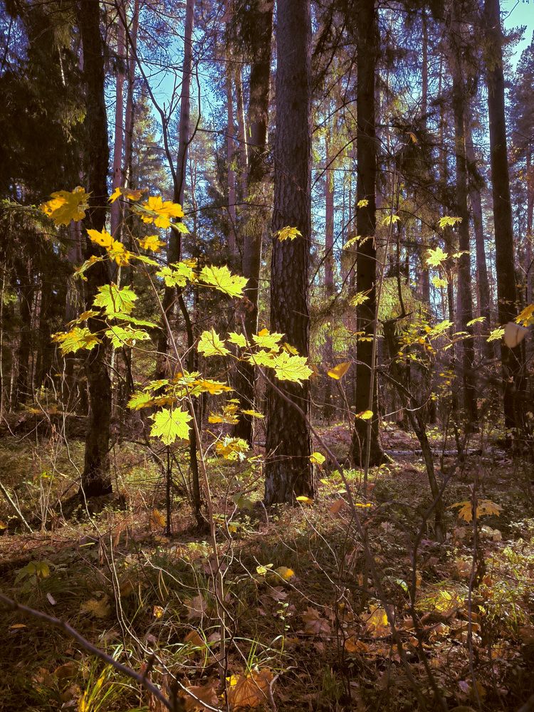 Photograph by Andrey Anikanov