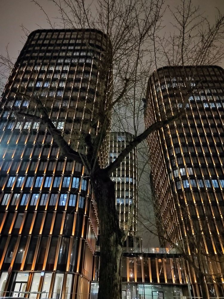 Фотография автора Ирина Сидоренко