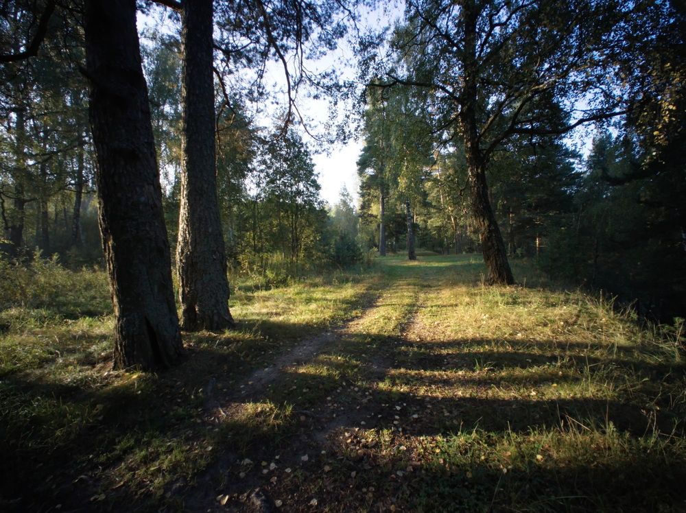 Солнечный день