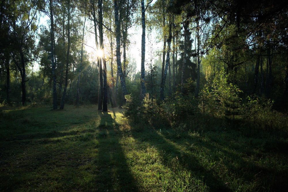 Фотография автора Юрий Кольцов