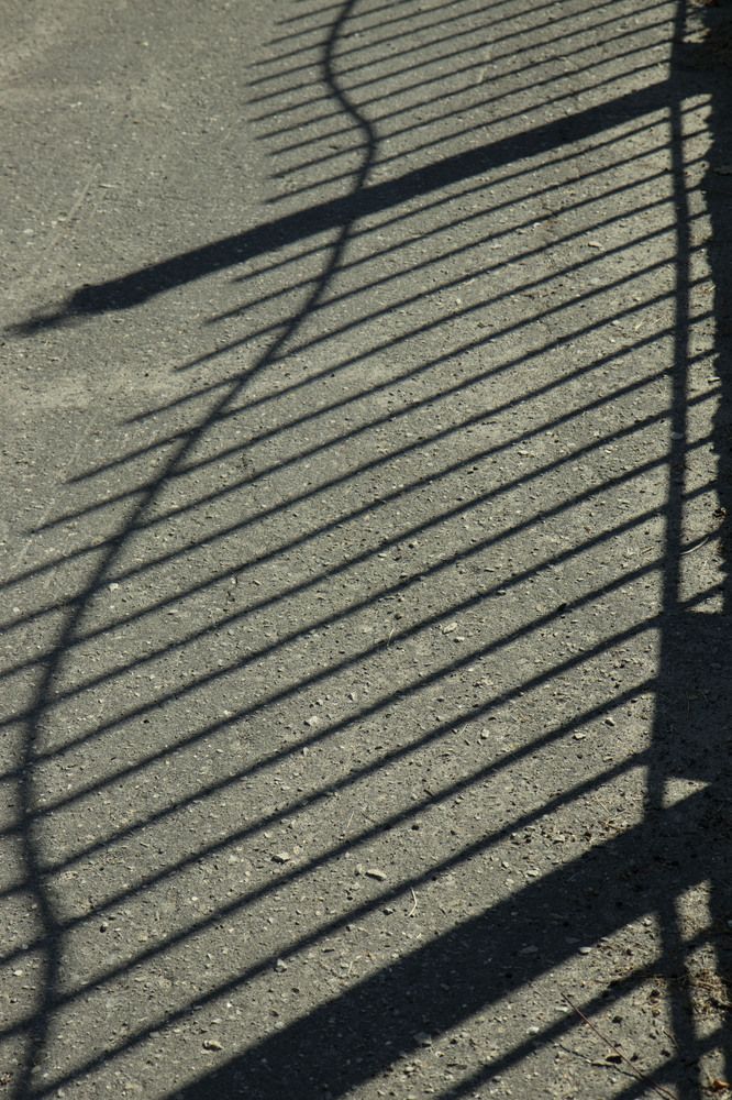 Photograph by владимир Заворотный