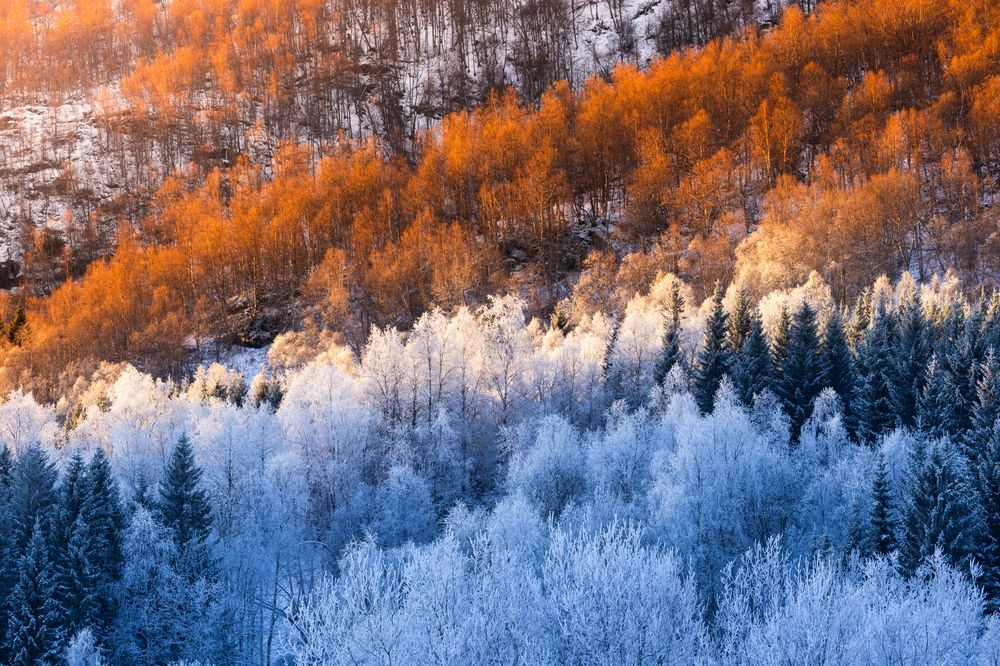 Photograph by Matteo Strassera