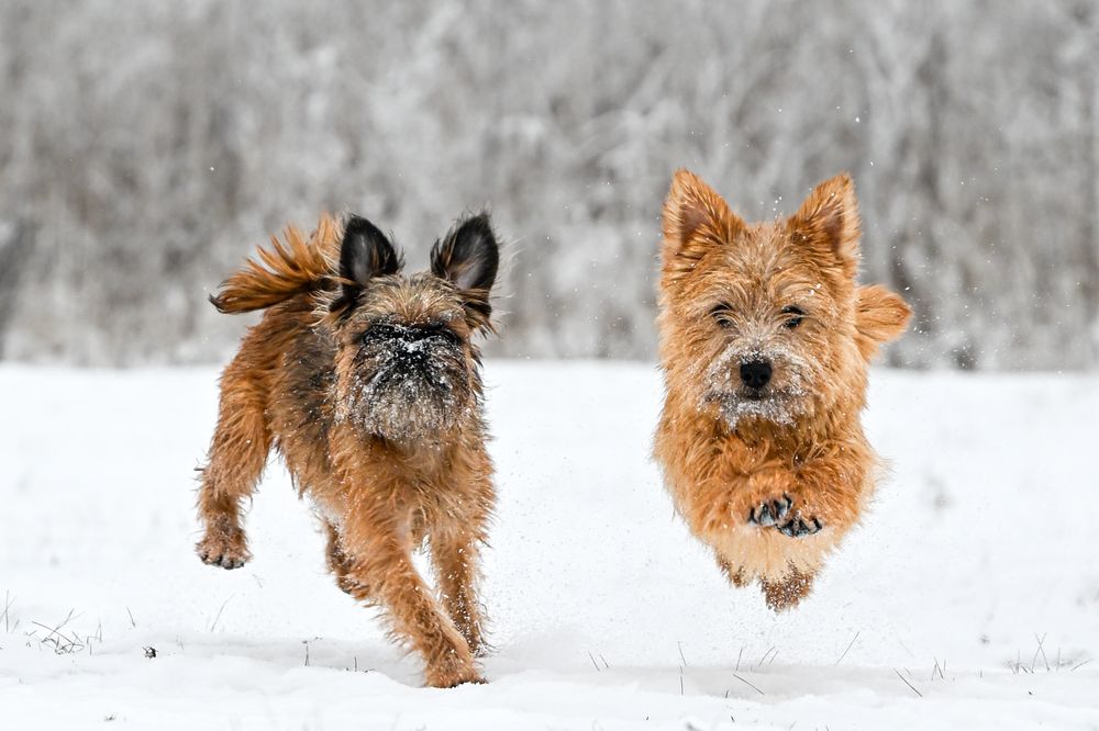 Photograph by Алексей Гончаров