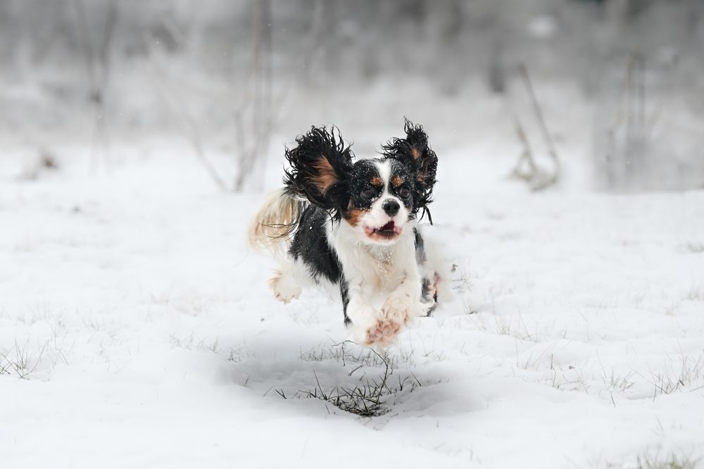 Photograph by Алексей Гончаров