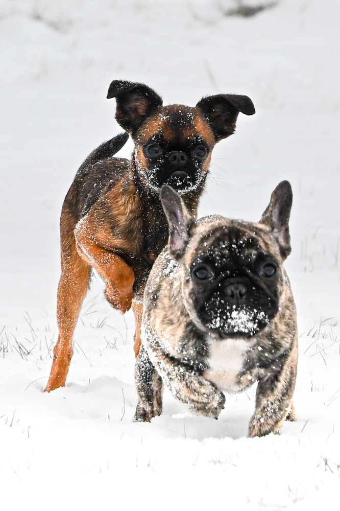 Photograph by Алексей Гончаров