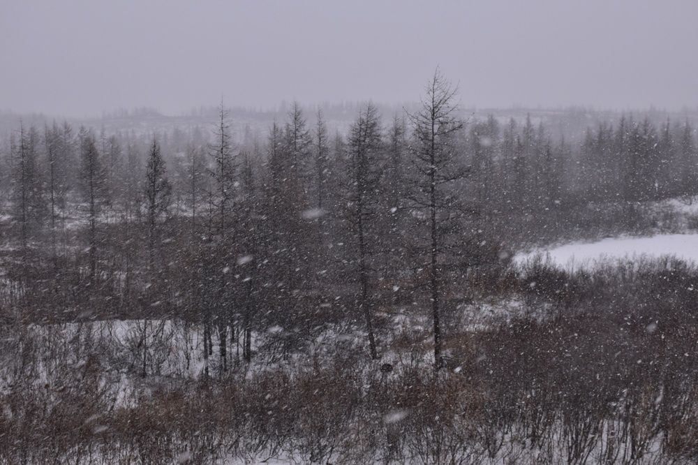 Photograph by Нина Кольман