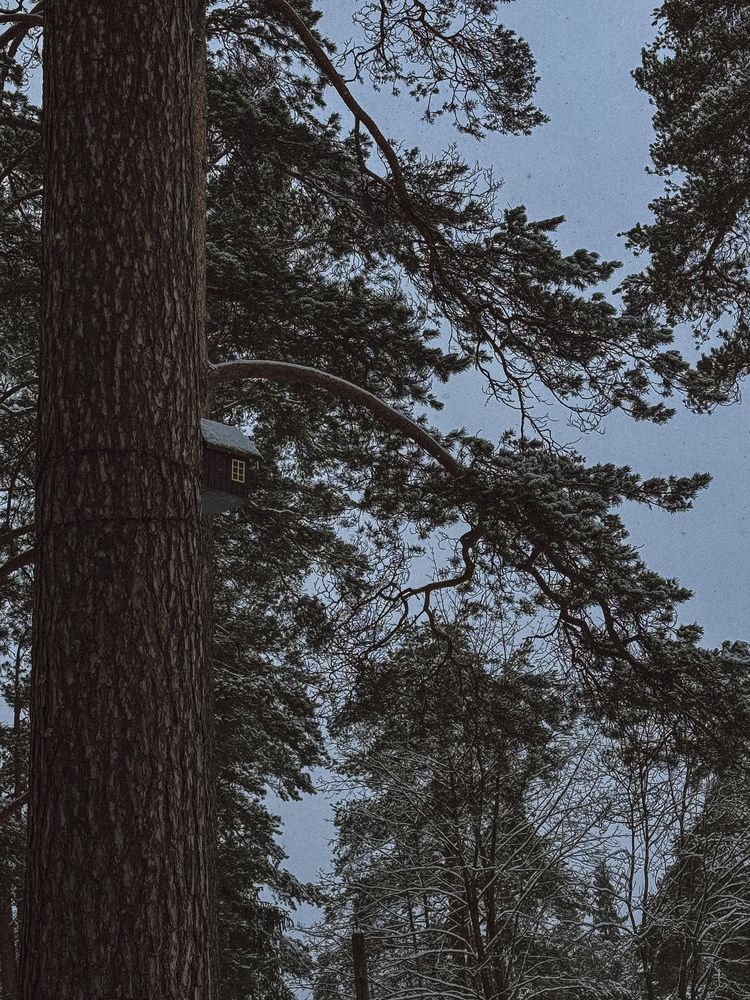 Photograph by Александра Кишикова
