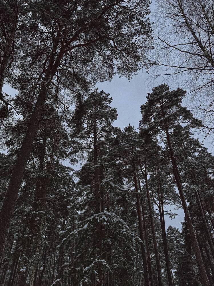 Photograph by Александра Кишикова