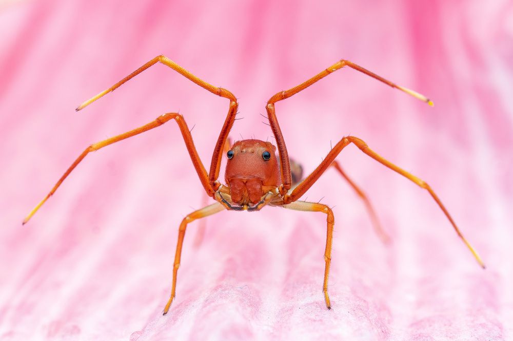 Photograph by Marcus Kam