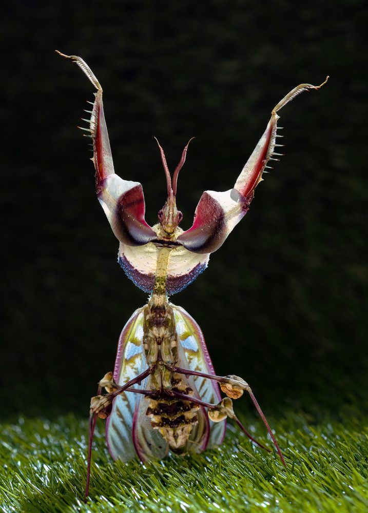 Photograph by Marcus Kam