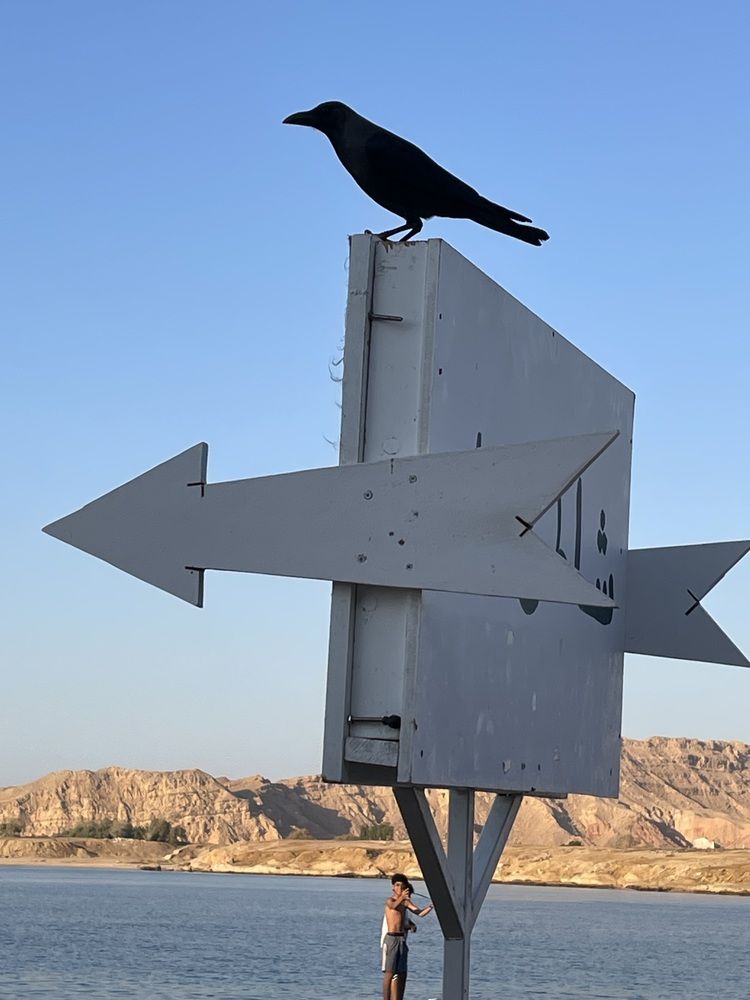 Photograph by оксана