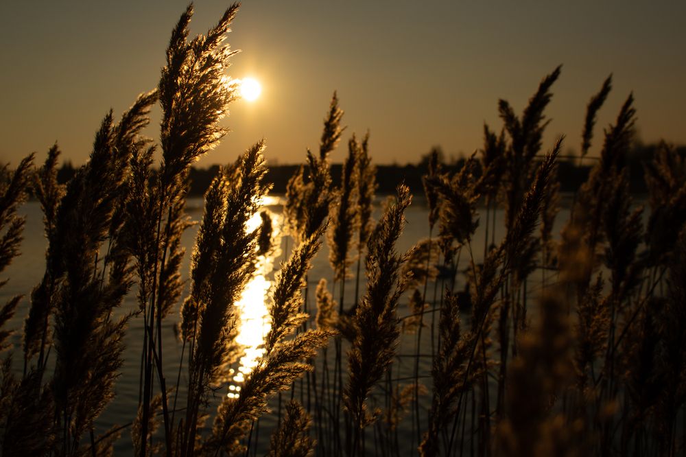 Фотография автора Екатерина Кузнецова