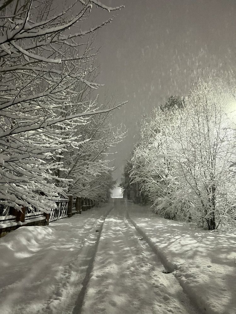 Photograph by Наталья