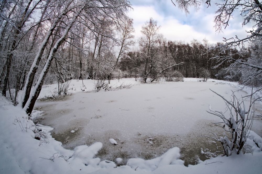 Фотография автора Юрий Кольцов