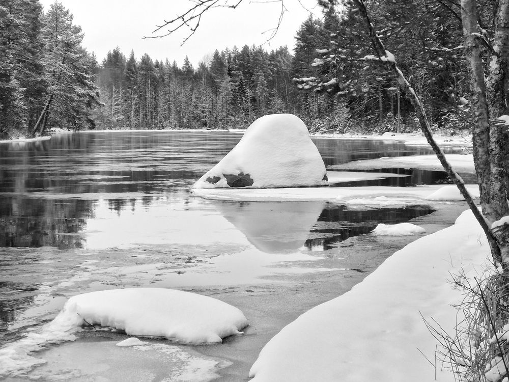 Фотография автора Колосова Елена