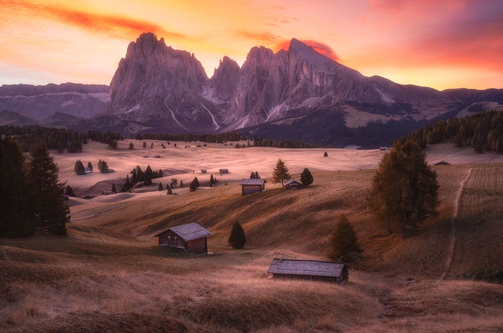 Photograph by Lara Iris