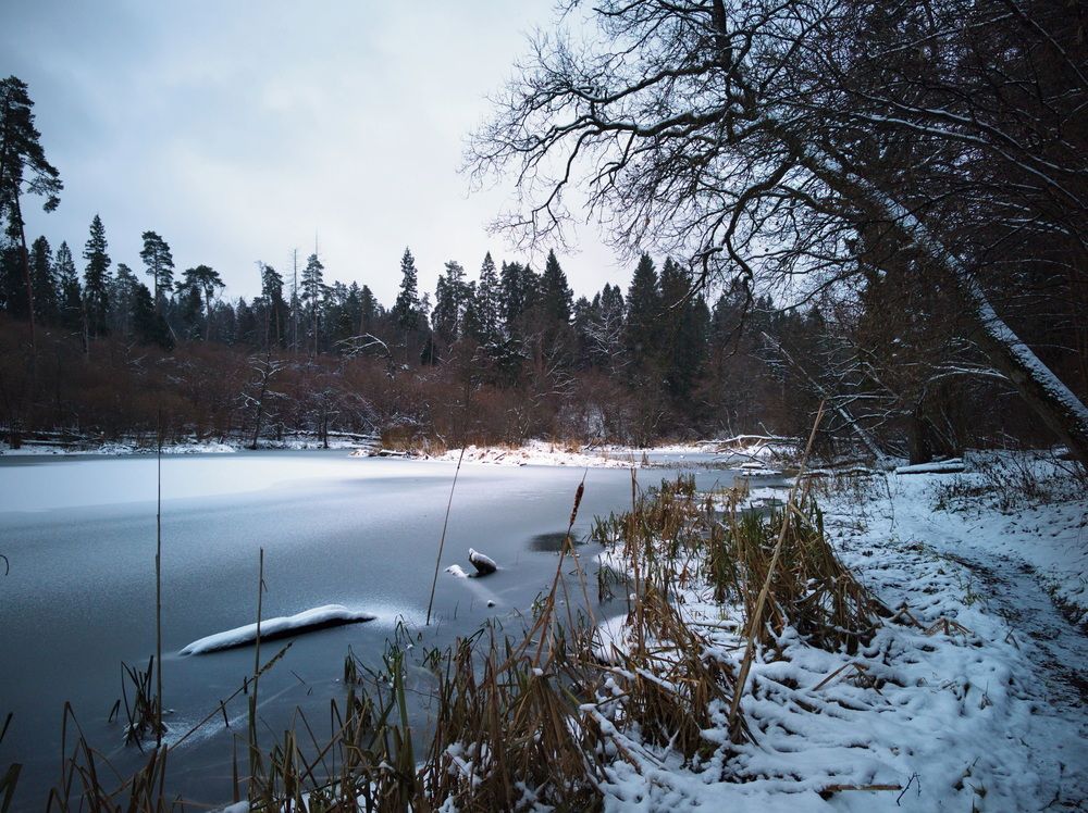 Фотография автора Юрий Кольцов