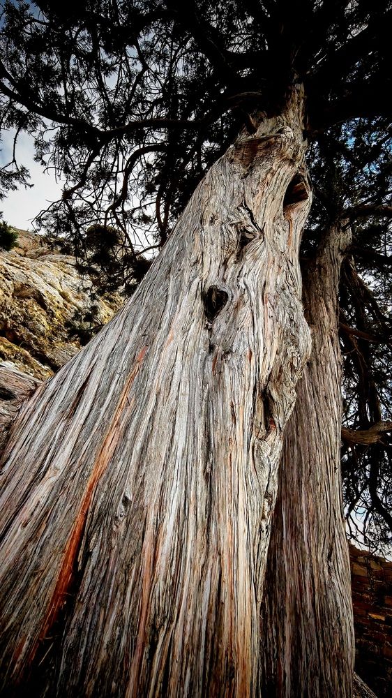 Фотография автора Виталий Шелехов