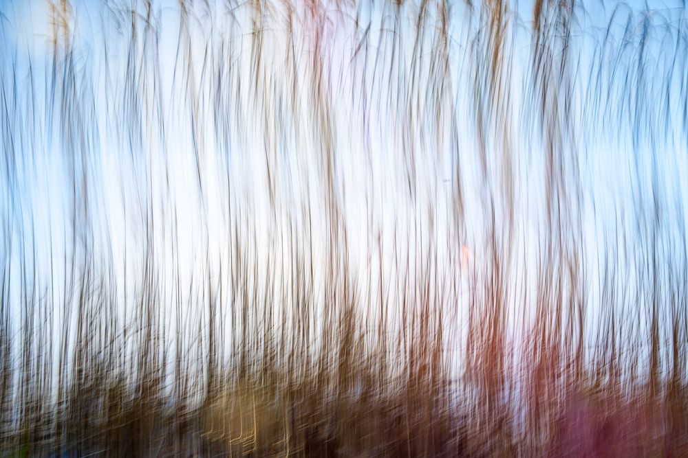 Photograph by Aleksei Degtjarjov