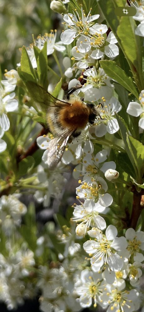 Photograph by оксана