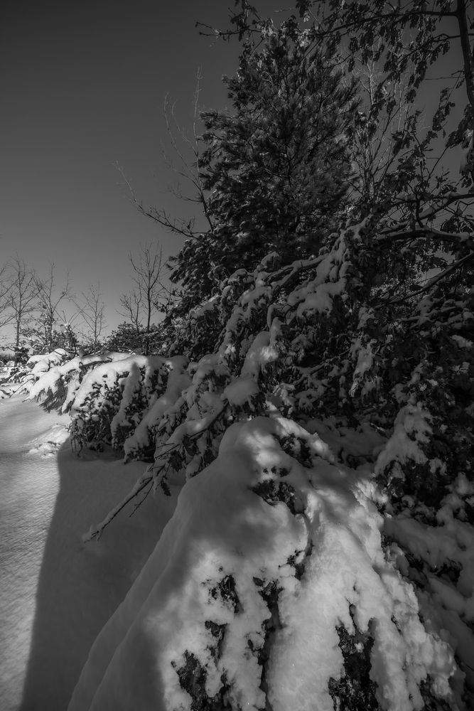 Photograph by Andrea Barlotti