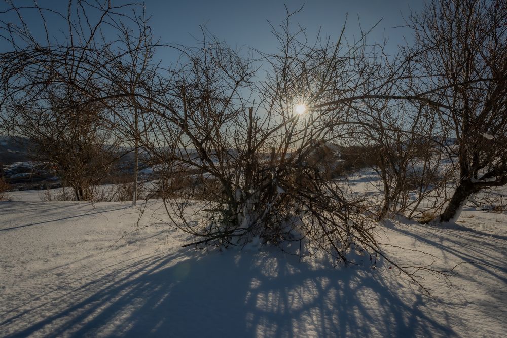 Photograph by Andrea Barlotti