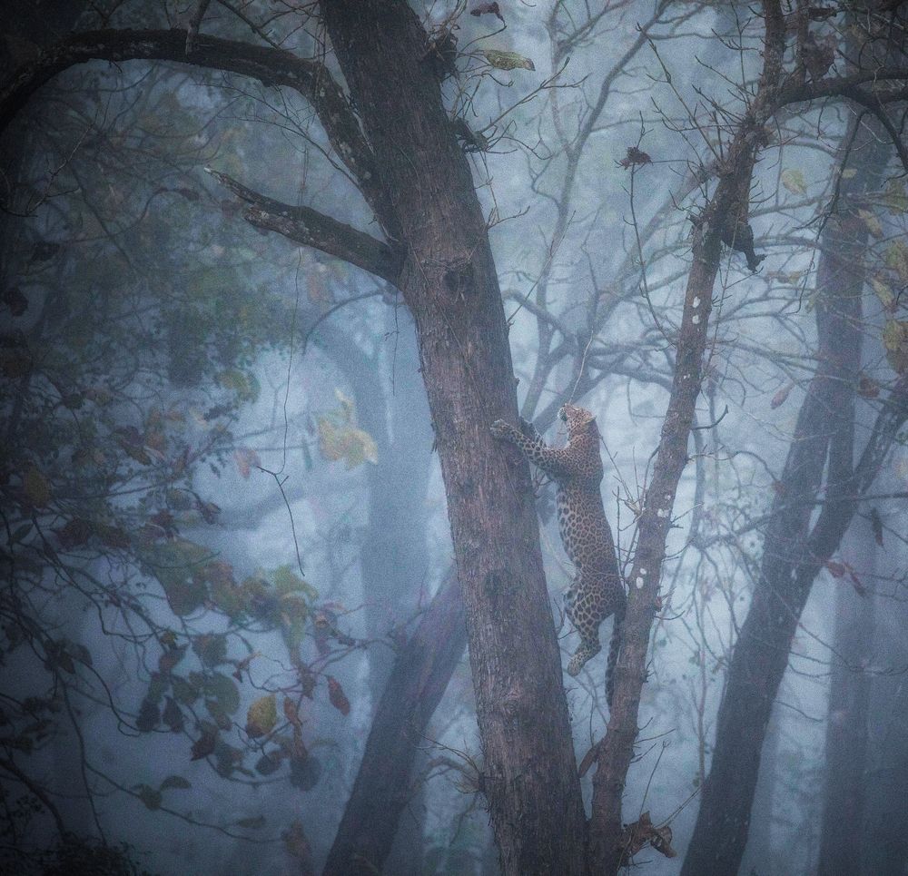 Photograph by RAVI S