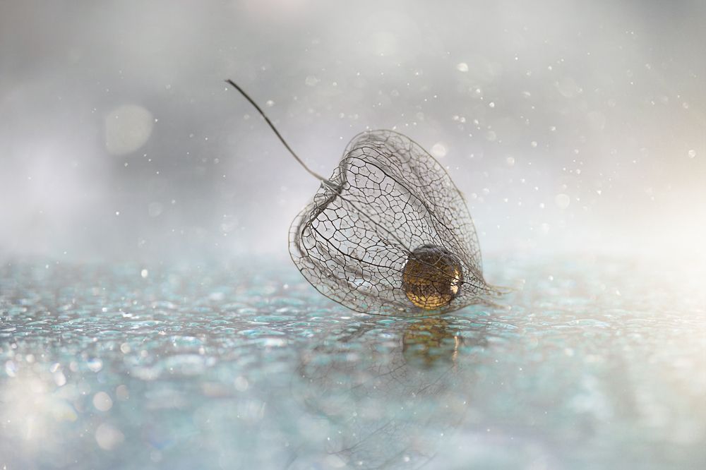 Фотография автора Обидина Мария