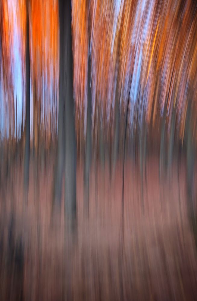 Photograph by Natalia Bolotenkova